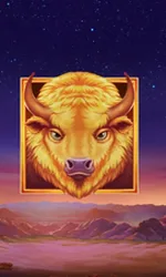 Buffalo's Sun